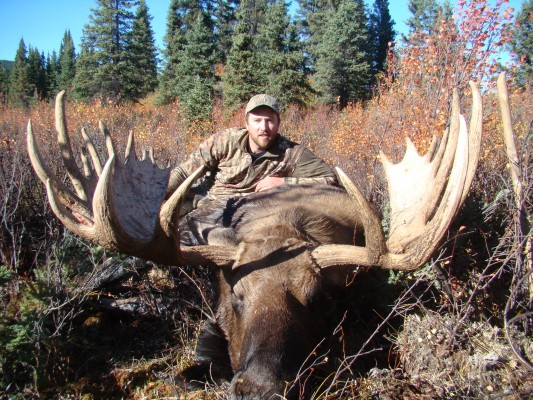 Blaine's Moose
