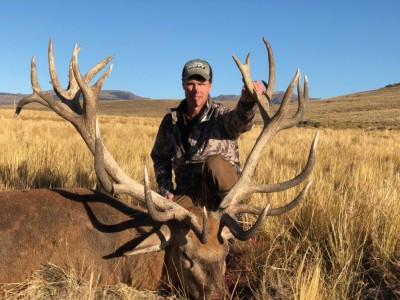 Corey Siemens (Red Stag)