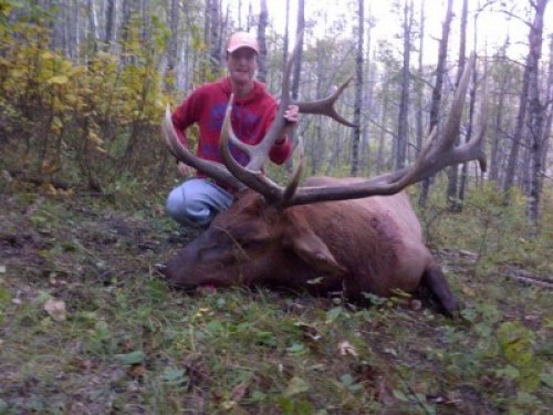 Curt's Elk