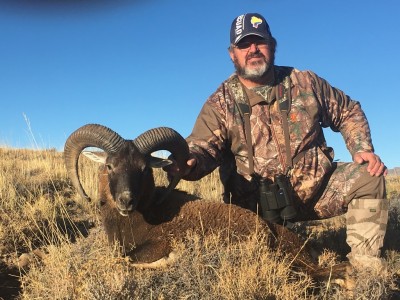 Duane Schrol (Mouflon)