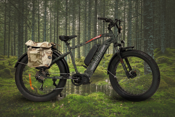 Electric Bike