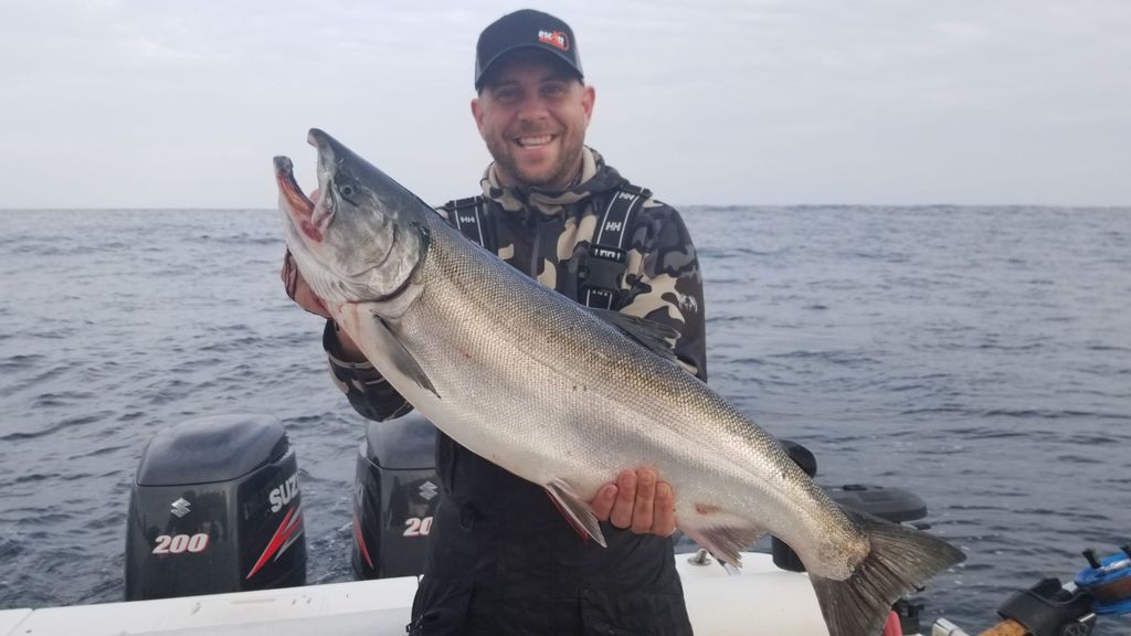 Salmon