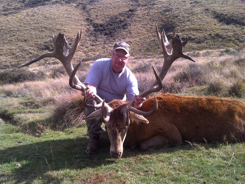 Graham Perry (Red Stag)