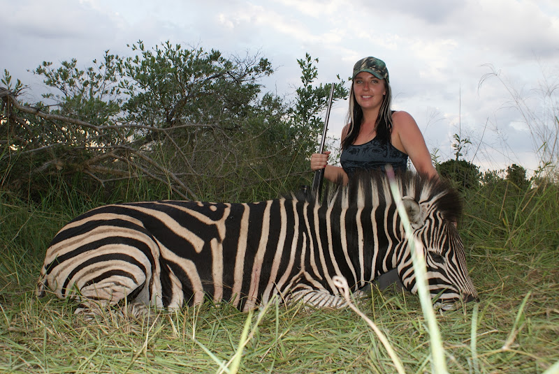 Jennifer S , Zebra