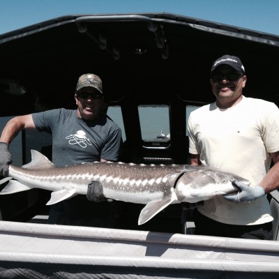 Kelley Brahey (Sturgeon)