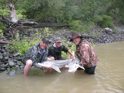 Ken & Jim (Sturgeon)