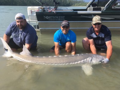 Lozi (Sturgeon)
