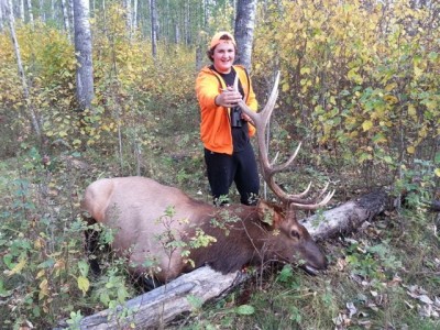 Elk