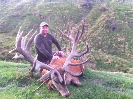 Randy O, Stag