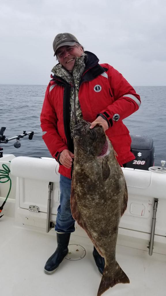 Halibut