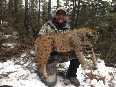 Shawn Robinson (Bobcat)