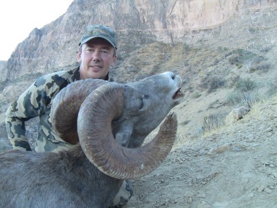 Brian Dobson (Desert Sheep)